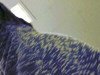 사무실 여직원 업스